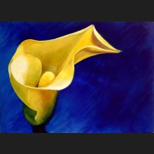 Yellow Lily